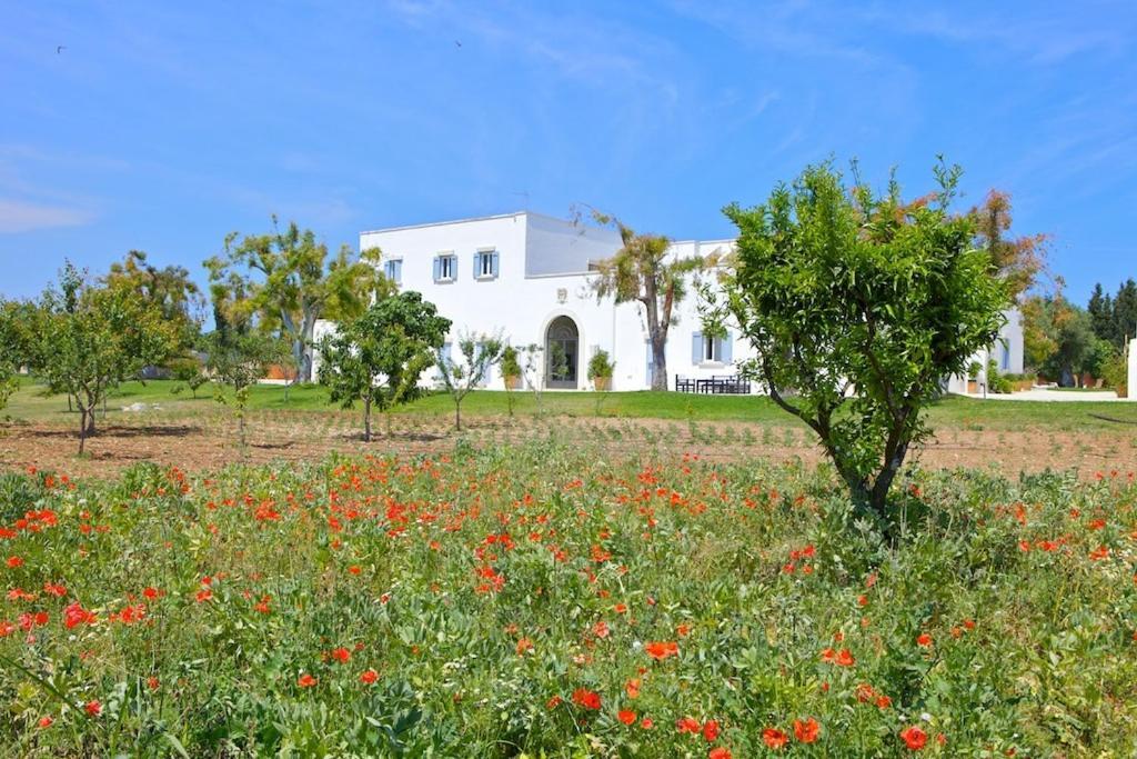אוטרנטו Masseria Montelauro מראה חיצוני תמונה
