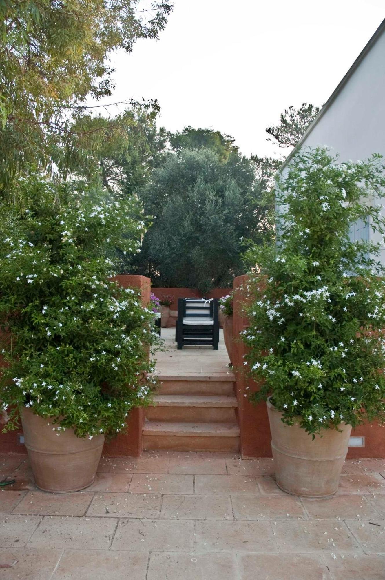 אוטרנטו Masseria Montelauro מראה חיצוני תמונה